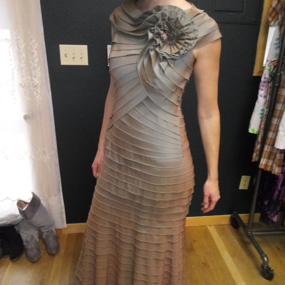 Tadashi Shoji Iridescent Gray Taffeta 